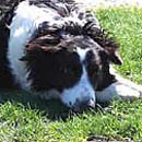 Piper was adopted in January, 2006